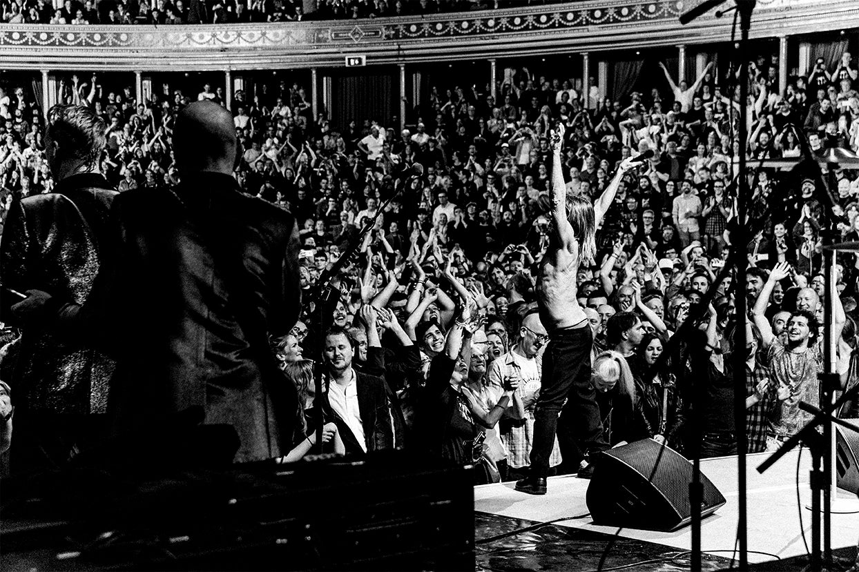 "FUCKIN" ROYAL ALBERT HALL 2