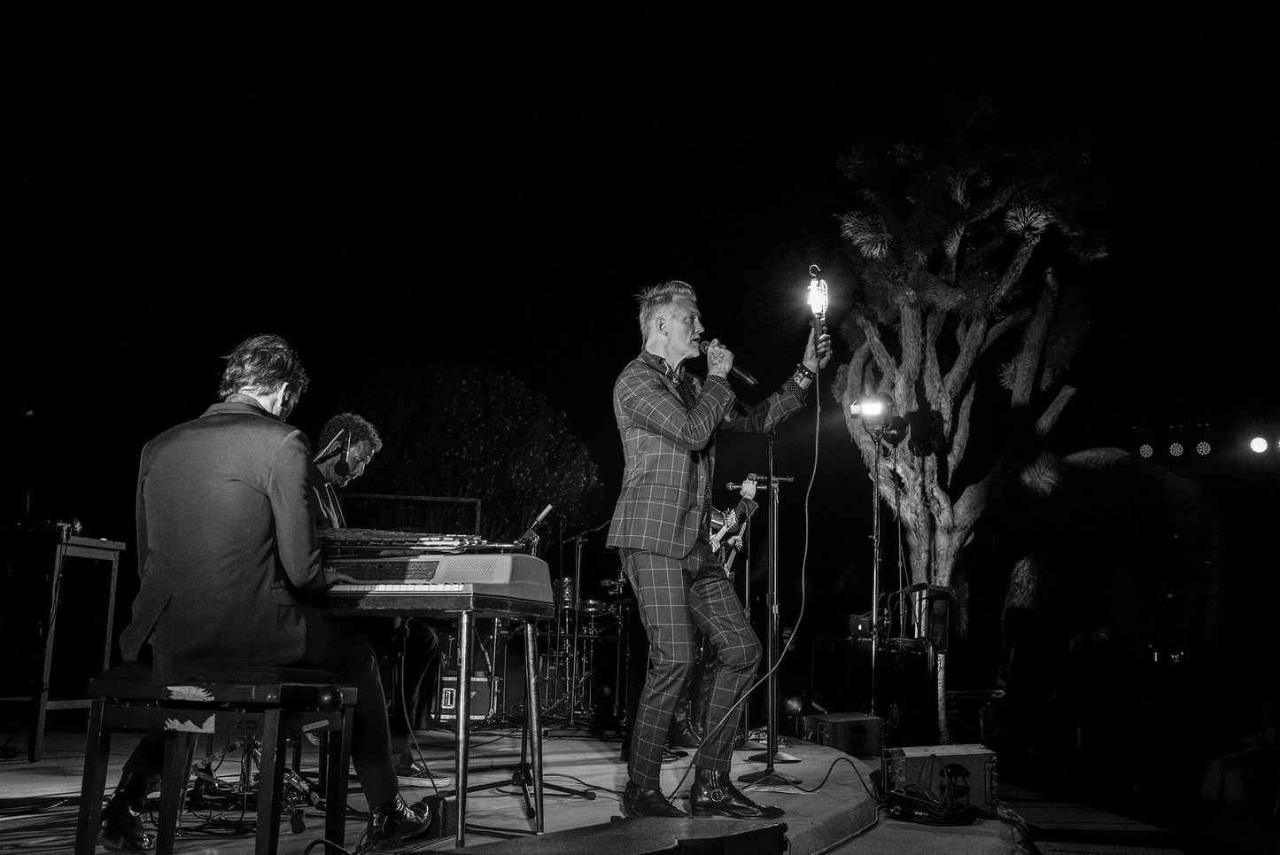 "Is It Wonderful - Joshua Tree"